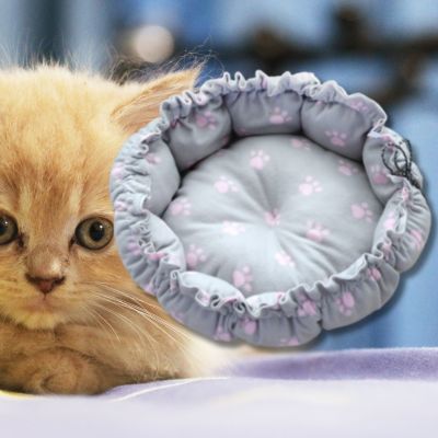 couffin-chaton-gris