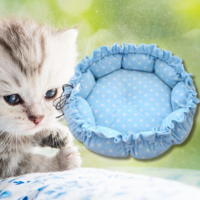 couffin-chaton-bleu