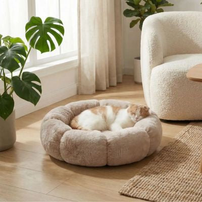 couffin chaton couffy variante beige