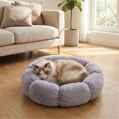 couffin chaton couffy variante gris avec chat