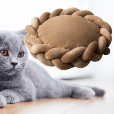 couffin-pour-chat-chat-regarde-couleur-café