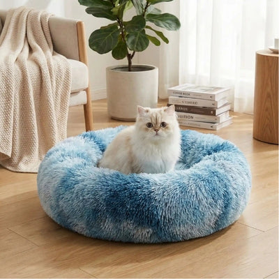 couffins pour chats doubo variante bleu avec chat
