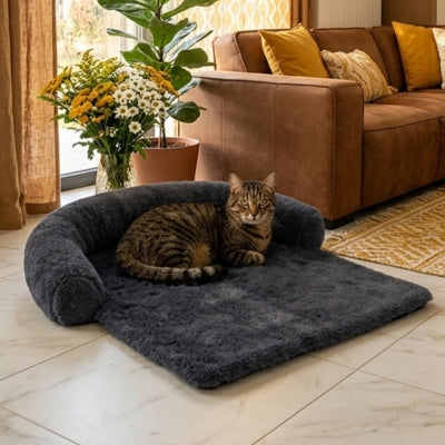 coussin à chat cosmau gris sur le sol