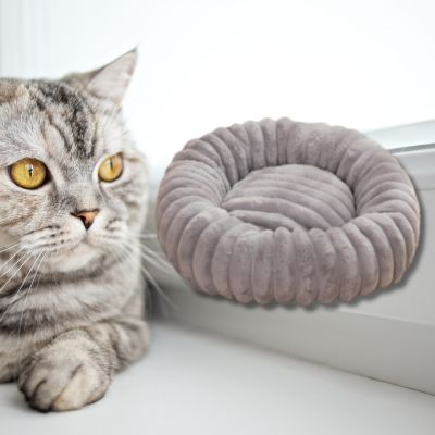 coussin-chat-couleur-gris