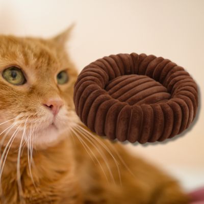coussin-chat-couleur-marron