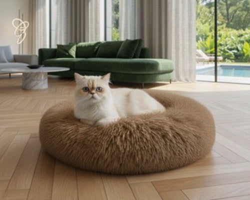 coussin-chat-image-collection