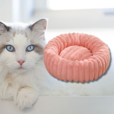 coussin-chat-rose