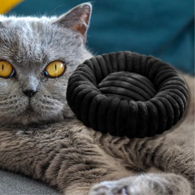 coussin-chat-noir