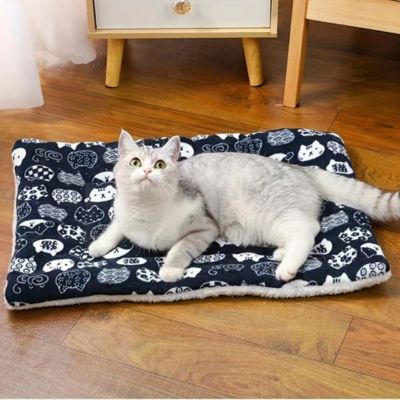 coussin chat pouchou bleu chat