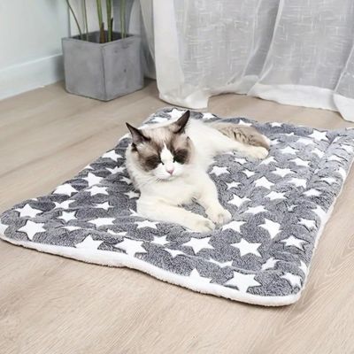 coussin chat pouchou étoile gris