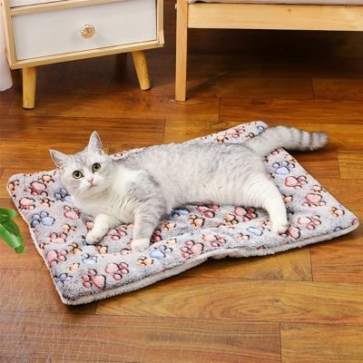 coussin chat pouchou pattes gris