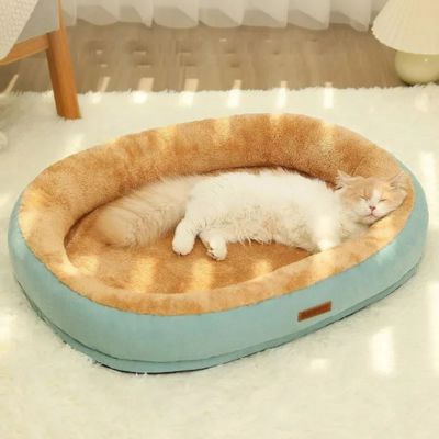coussin chat zacha vert