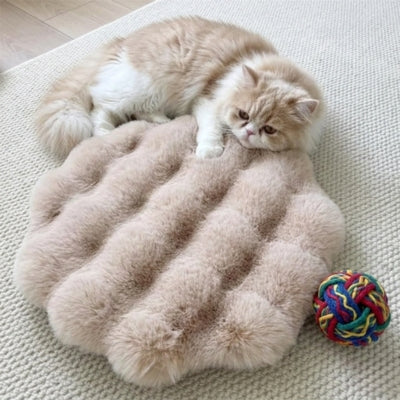 coussin chaton damous beige avec chat