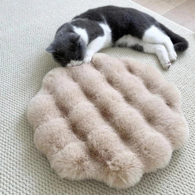 coussin chaton damous beige