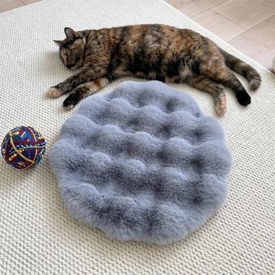 coussin chaton damous gris avec chat