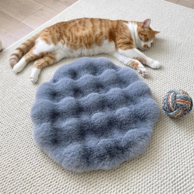 coussin chaton damous gris