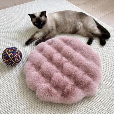 coussin chaton damous rose avec chat