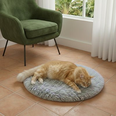 coussin pour chat zavita couleur gris