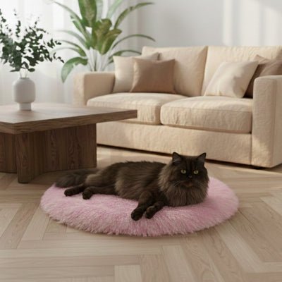 coussin pour chat zavita couleur rose