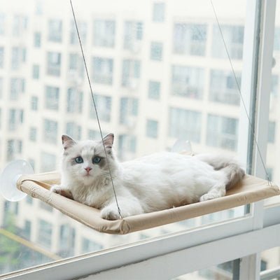 hamac-chat-fenetre-variante-beige