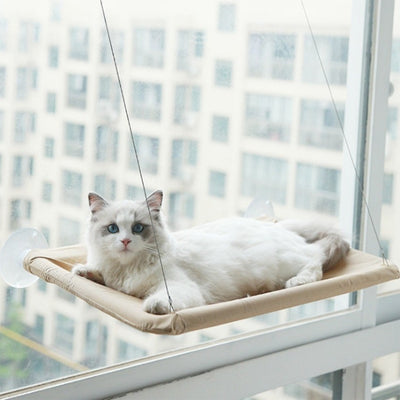 hamac chat fenetre cavitou variante beige