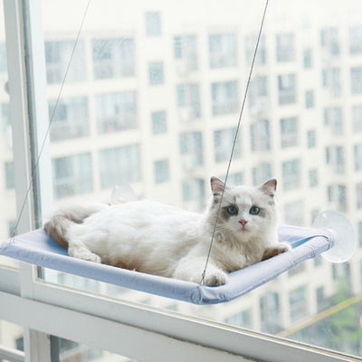 hamac chat fenetre cavitou variante bleu