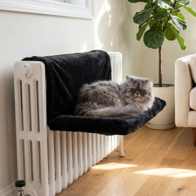 hamac chat radiateur blokito dans un salon