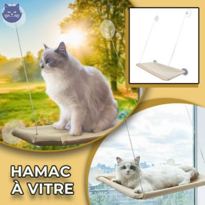 Hamac Panorama 360° | HamacView™ - La Guilde des Chats