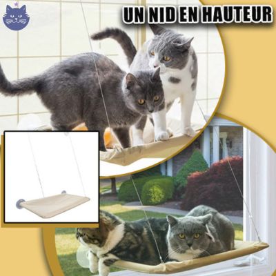 Hamac Panorama 360° | HamacView™ - La Guilde des Chats