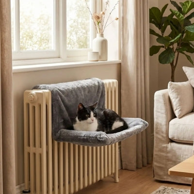 hamac radiateur chat radiaf dans maison