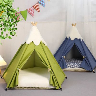 les deux variantes tipi chat munty vert et bleu