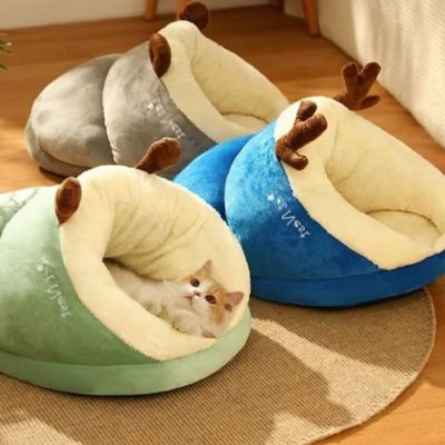 les trois variantes couleur de la niche chat chauzon