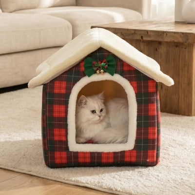 maison chat interieur eristo dans appartement