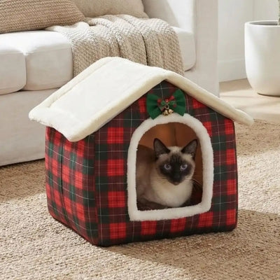 maison chat interieur eristo dans salon