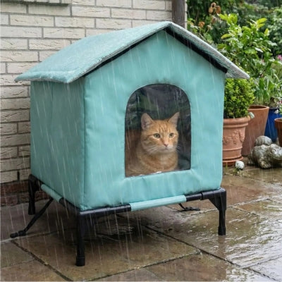 maison exterieur pour chat hauzal bleu avec chat