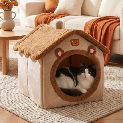 maison pour chat kabou dans maison