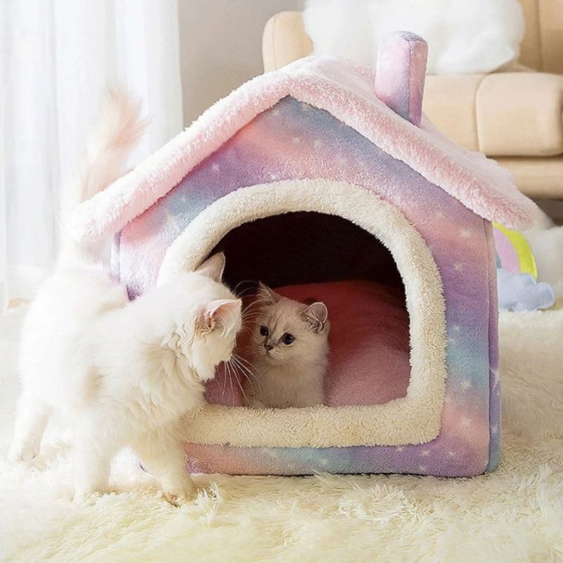 maison pour chats kixil avec deux chats