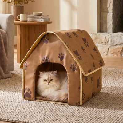 maison pour les chats bourta sur un tapis