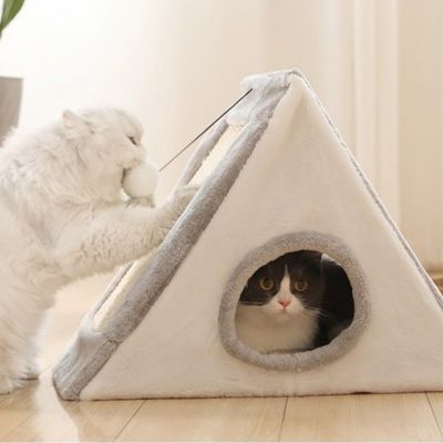 maison pour les chats pythos variante gris avec deux chats dedans et dehors qui joue
