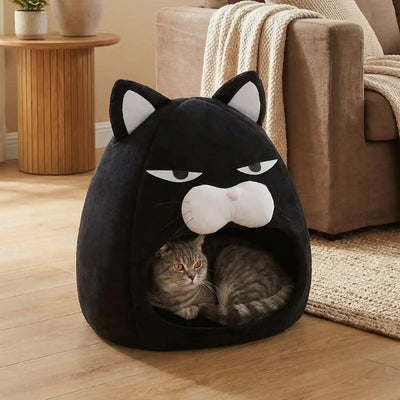 maisonnette chats kanuria avec chat détendu