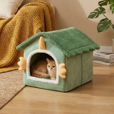 maisonnette chats nakina chat roux veille