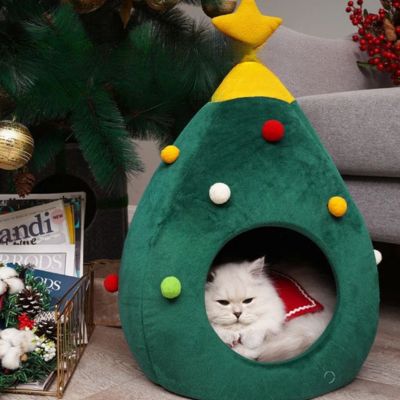 maisonnette chats nolito look arbre de noel chat dort dedans