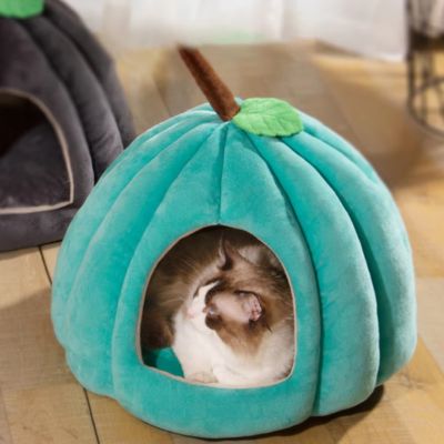 maisonnette pour chat cikoza forme citrouille variante bleu vert