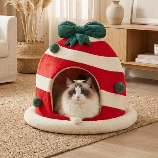 maisonnettes pour chats mavado avec chat ragdoll