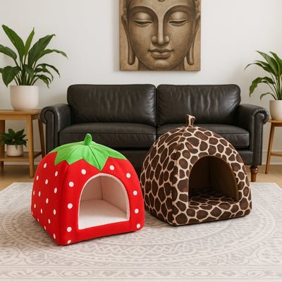 deux-variantes-niche-à-chat-fracou