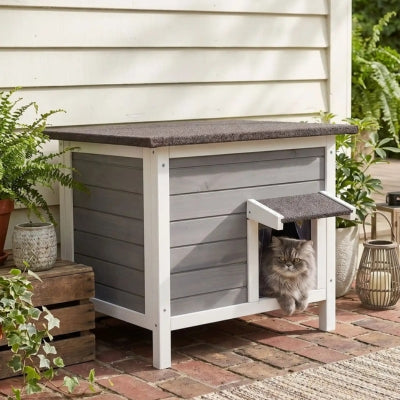niche bois chat boidal dans le jardin