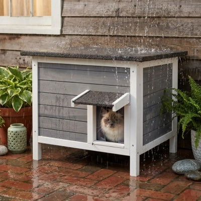 niche bois chat boidal sous la pluie