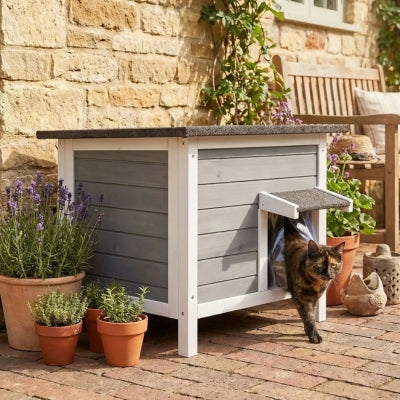 niche bois chat boidal sur terrasse