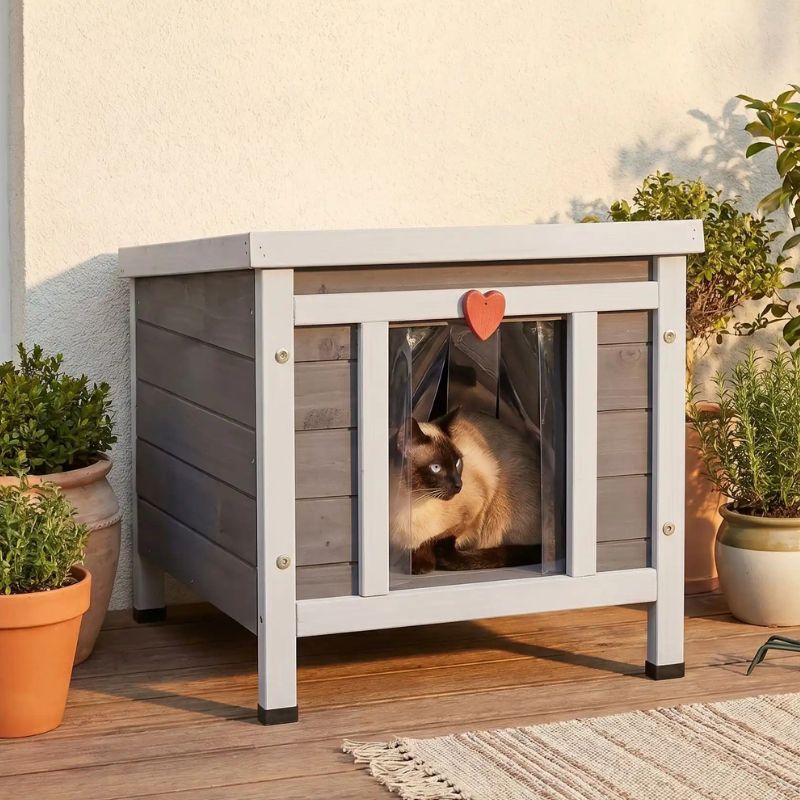 niche chat bois boitif avec un chat