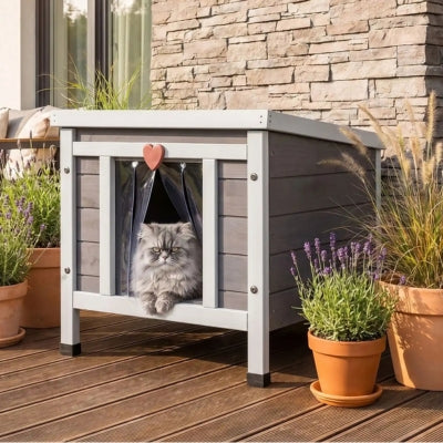 niche chat bois boitif dans le jardin
